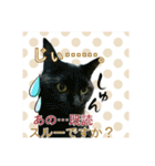 Makao's Cat+DuckStamp（個別スタンプ：15）