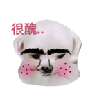 Dog DogDog DogDog DogDog DogDog DogDog（個別スタンプ：3）