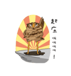 owl owl's daily（個別スタンプ：1）