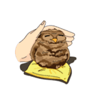 owl owl's daily（個別スタンプ：8）