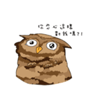 owl owl's daily（個別スタンプ：28）