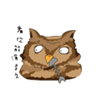 owl owl's daily（個別スタンプ：29）