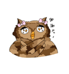 owl owl's daily（個別スタンプ：35）