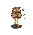 owl owl's daily（個別スタンプ：37）