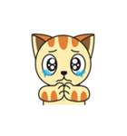 What-A-Cat（個別スタンプ：16）