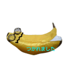 バナナさん（個別スタンプ：23）