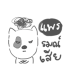 prae dog face（個別スタンプ：19）