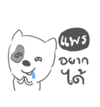 prae dog face（個別スタンプ：31）