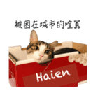 I am Haien（個別スタンプ：5）