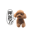 ::: Puppy Brownie :::（個別スタンプ：20）