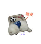 moamoabeardog2（個別スタンプ：21）