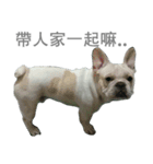 French Bulldog - King Tour 3（個別スタンプ：2）