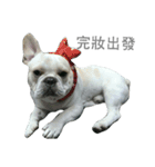 French Bulldog - King Tour 3（個別スタンプ：3）