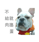 French Bulldog - King Tour 3（個別スタンプ：8）