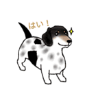 Dachshund and（個別スタンプ：5）