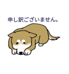 Dachshund and（個別スタンプ：10）