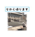 北海道犬まぅの気持ち ~まぅの耳科診察室~（個別スタンプ：8）