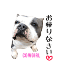 americanbully HAMON＆BIANCA NO.2（個別スタンプ：29）