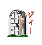 ねこの茶々丸コスプレバラエティ（個別スタンプ：7）