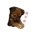 I Love dog's 1（個別スタンプ：21）