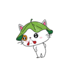 Introverted White Cat（個別スタンプ：11）