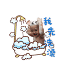 cute baby Hsun（個別スタンプ：9）