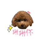 Dog Dog Dog Family（個別スタンプ：1）