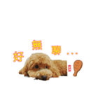 Dog Dog Dog Family（個別スタンプ：15）