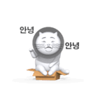 Tangja's (korean)（個別スタンプ：17）