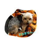 犬のジョン。（個別スタンプ：4）