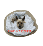 犬のジョン。（個別スタンプ：7）