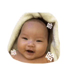 Evelyn's baby face（個別スタンプ：1）