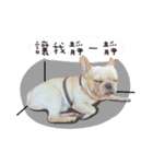 French Bulldog BabyBubu（個別スタンプ：4）