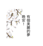 Missing is a disease_Pear blossom mood（個別スタンプ：10）