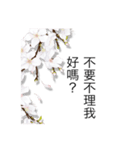 Missing is a disease_Pear blossom mood（個別スタンプ：14）