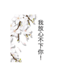 Missing is a disease_Pear blossom mood（個別スタンプ：16）