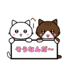 にゃんことにゃんこ3（個別スタンプ：20）