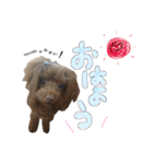 犬ちょりまつ（個別スタンプ：2）