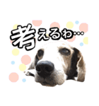 犬ちょりまつ（個別スタンプ：15）