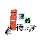 犬ちょりまつ（個別スタンプ：26）