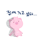Twinkle twinkle Pig (Korea edition)（個別スタンプ：18）