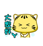 Cute striped cat. CAT154（個別スタンプ：19）