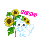 ハワイのお花大好き白猫ちゃん英語版（個別スタンプ：4）