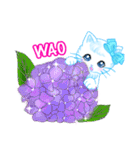 ハワイのお花大好き白猫ちゃん英語版（個別スタンプ：23）