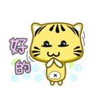 Cute striped cat. CAT155（個別スタンプ：6）