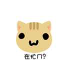 cat cat.（個別スタンプ：8）