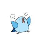 Pacific (mob) Parrotlet（個別スタンプ：2）