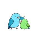 Pacific (mob) Parrotlet（個別スタンプ：9）