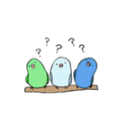 Pacific (mob) Parrotlet（個別スタンプ：15）