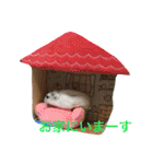 ハムスターもちちゃんの面白可愛いスタンプ（個別スタンプ：7）